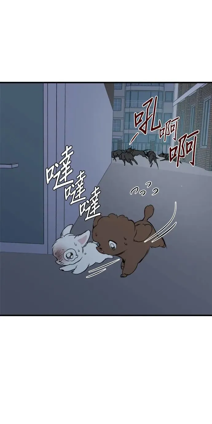 第12话 第17页
