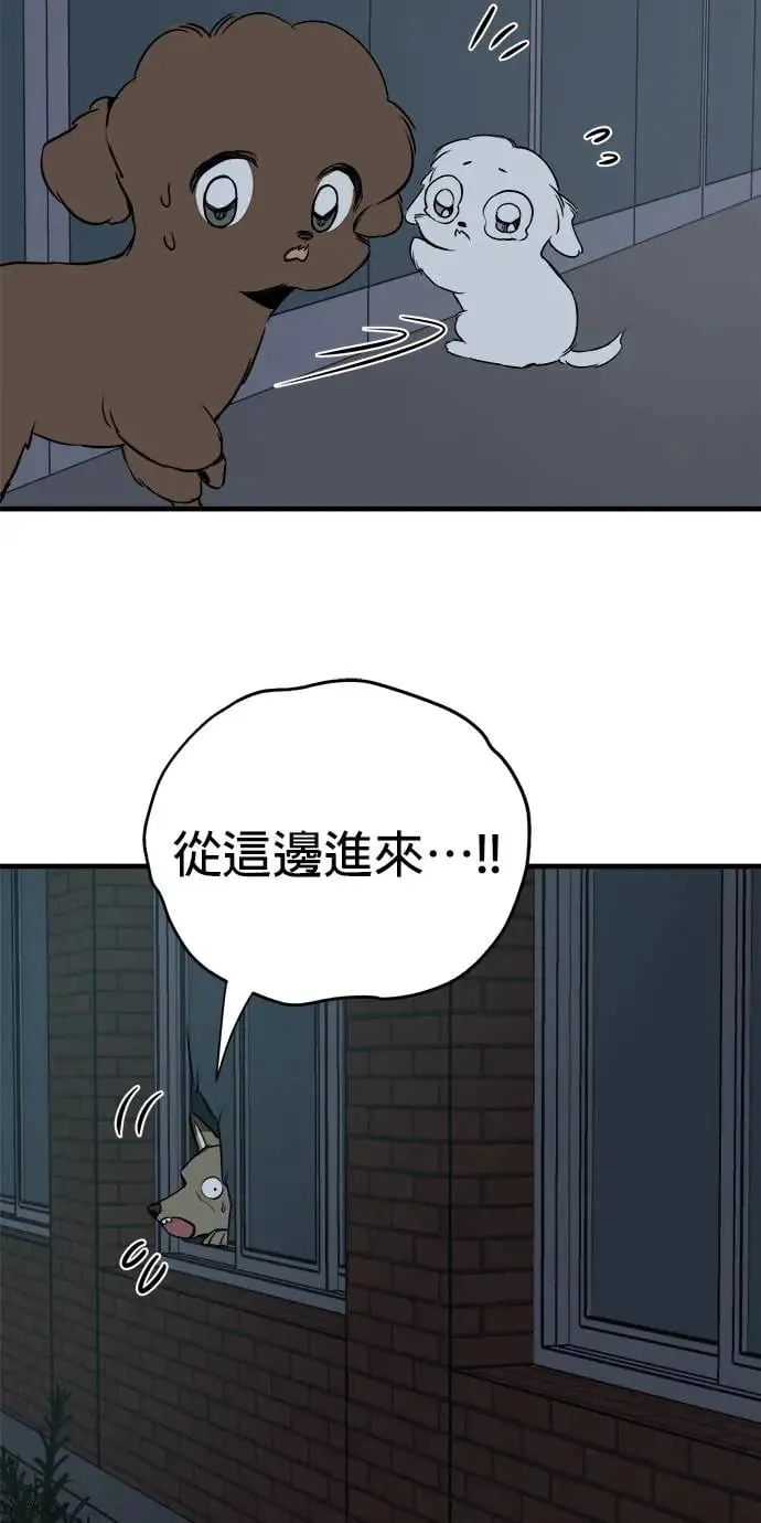 第12话 第19页