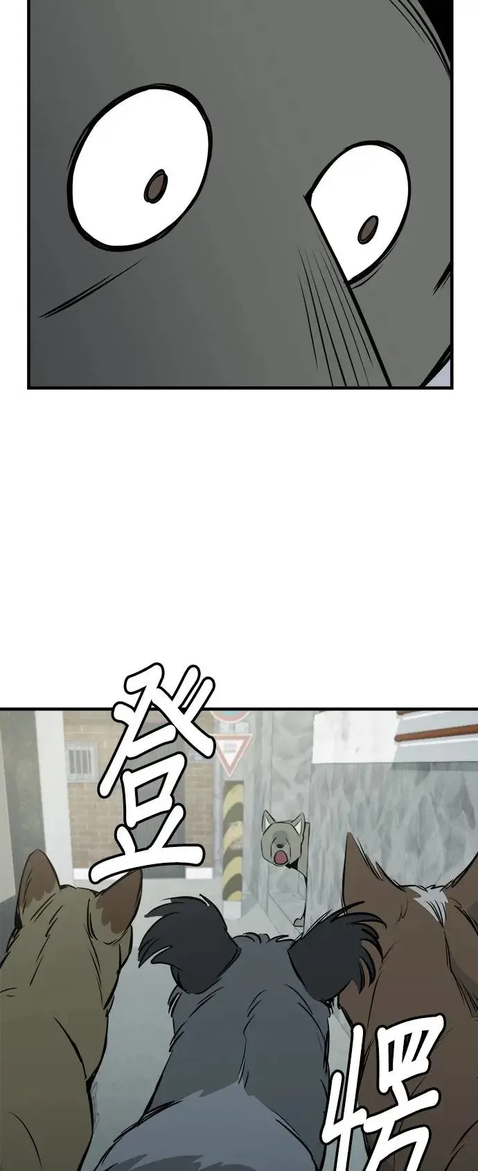 第17话 第31页