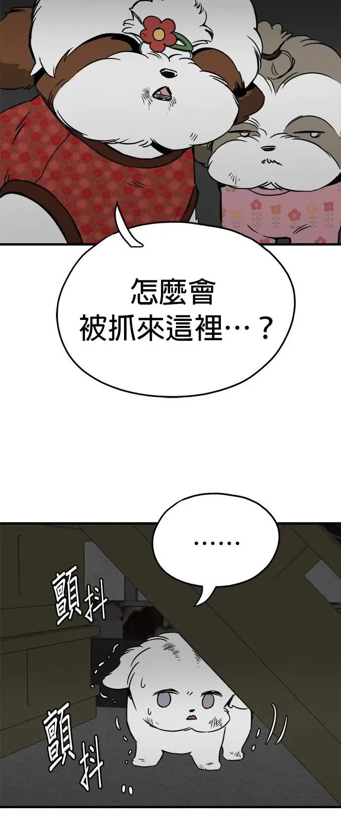 第22话 第46页