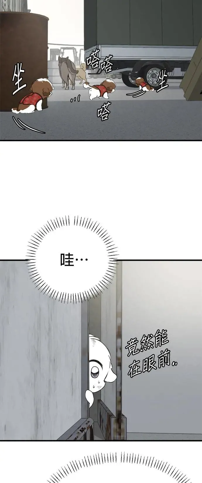 第23话 第66页