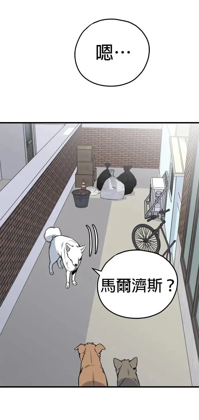 第28话 第37页