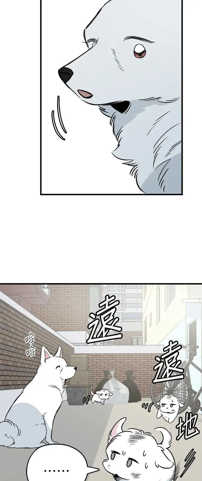 第28话 第51页