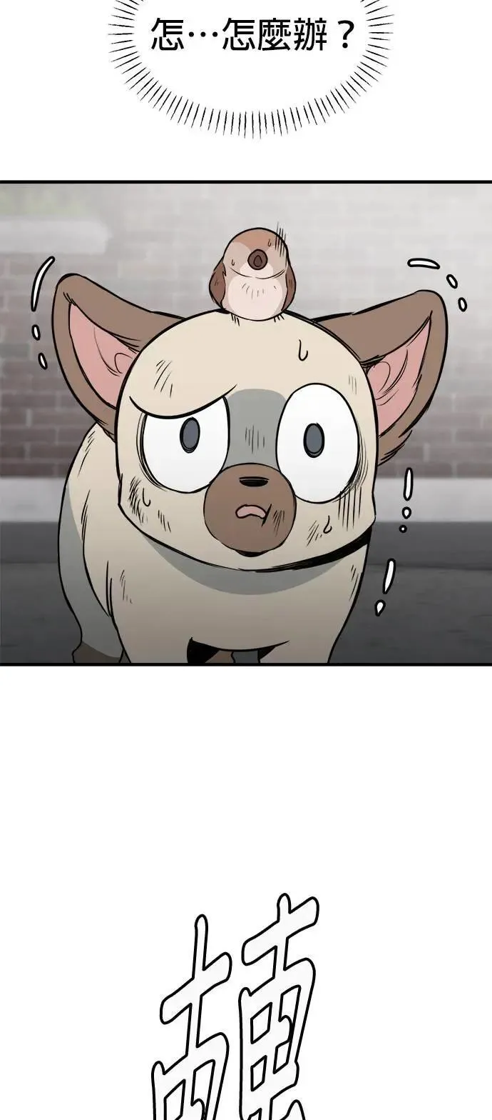 第34话 第51页