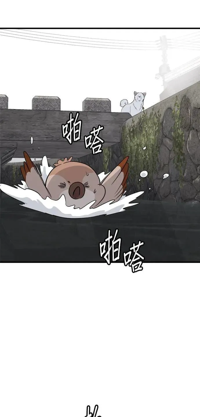 第34话 第67页