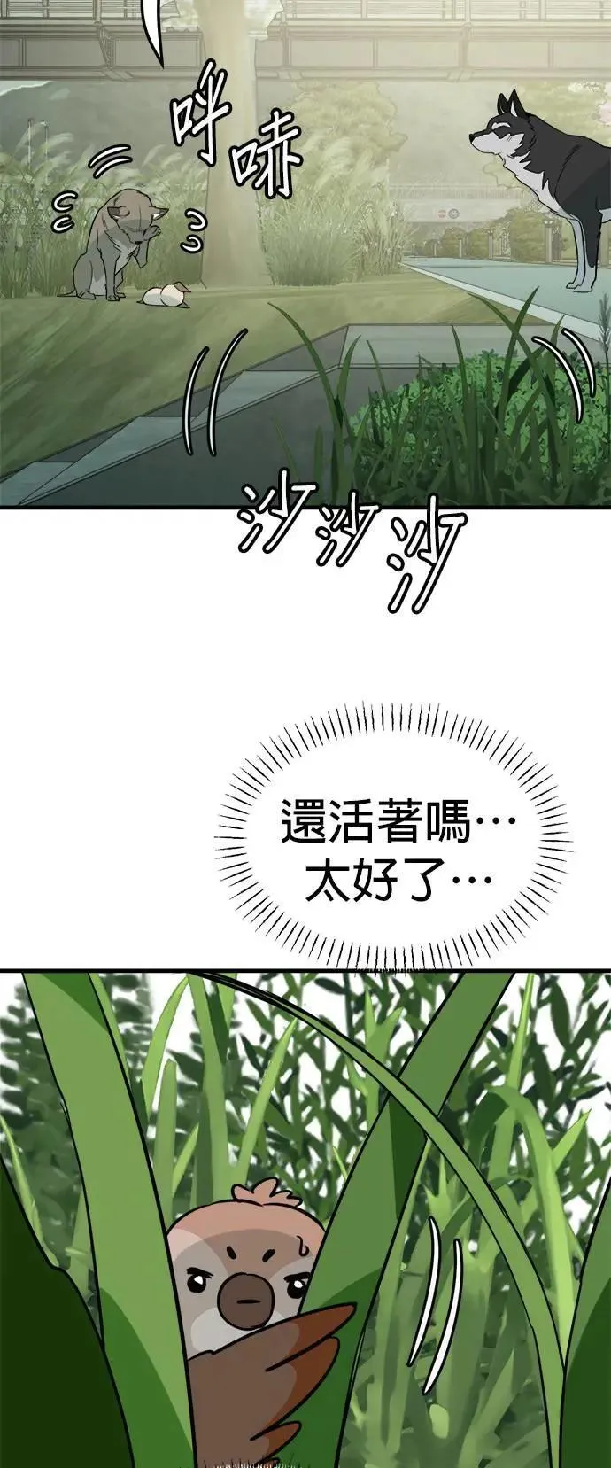第36话 第10页