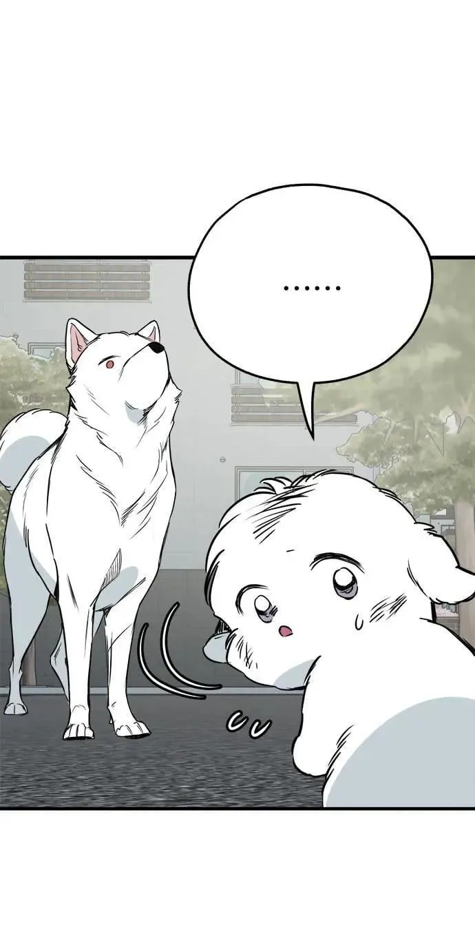 第36话 第33页
