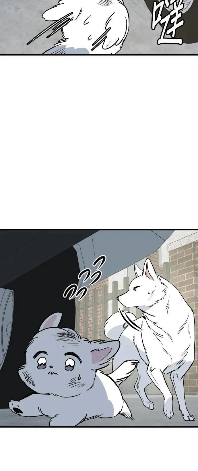 第38话 第4页