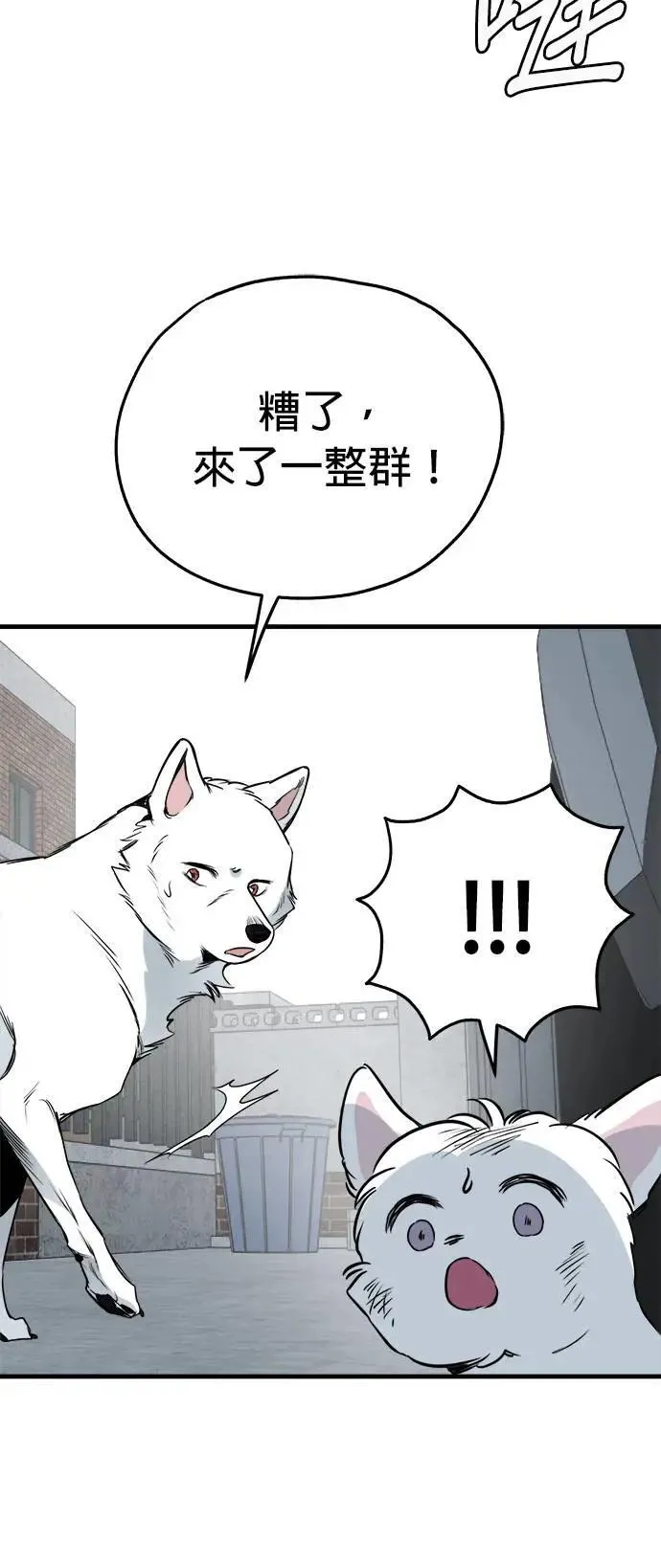 第38话 第14页
