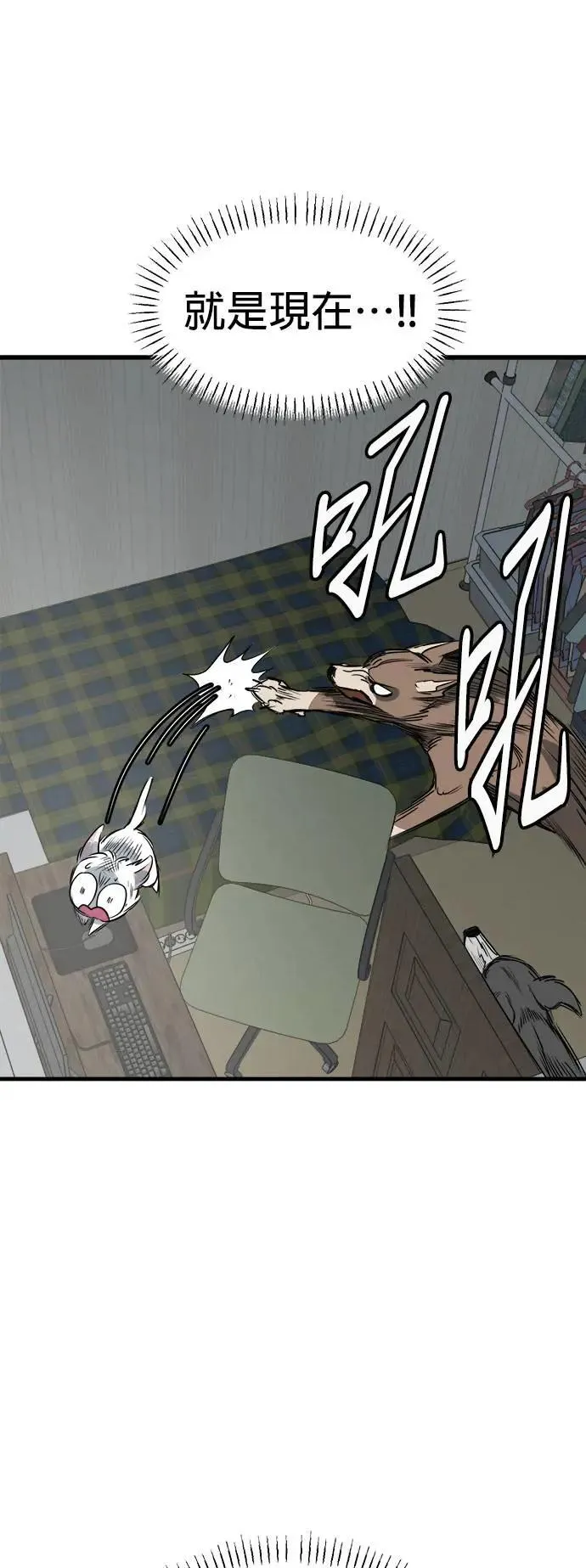 第39话 第13页