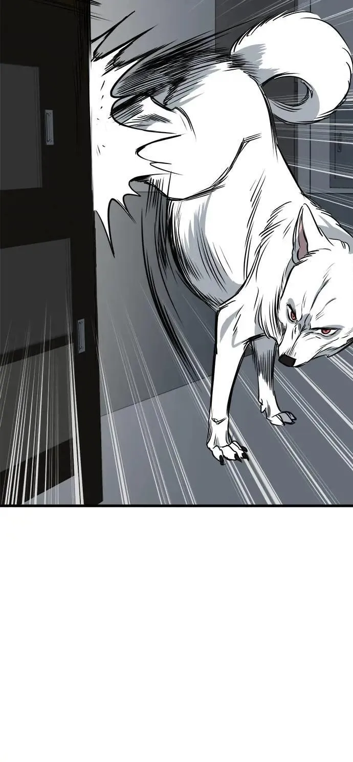 第39话 第20页