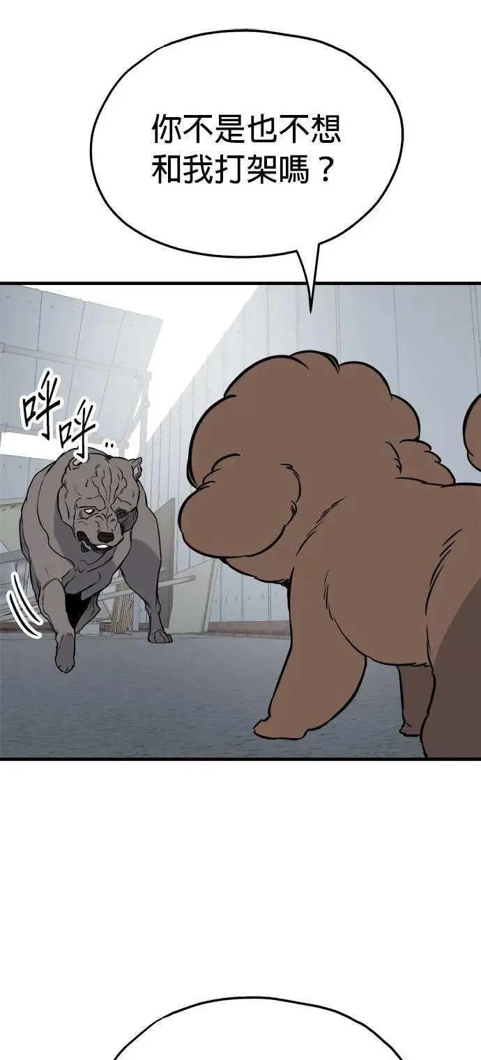 第41话 第73页
