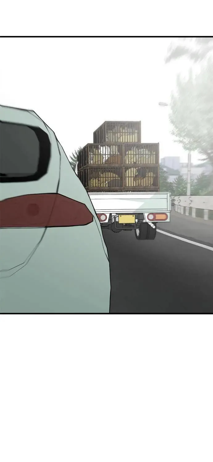 第49话 第65页