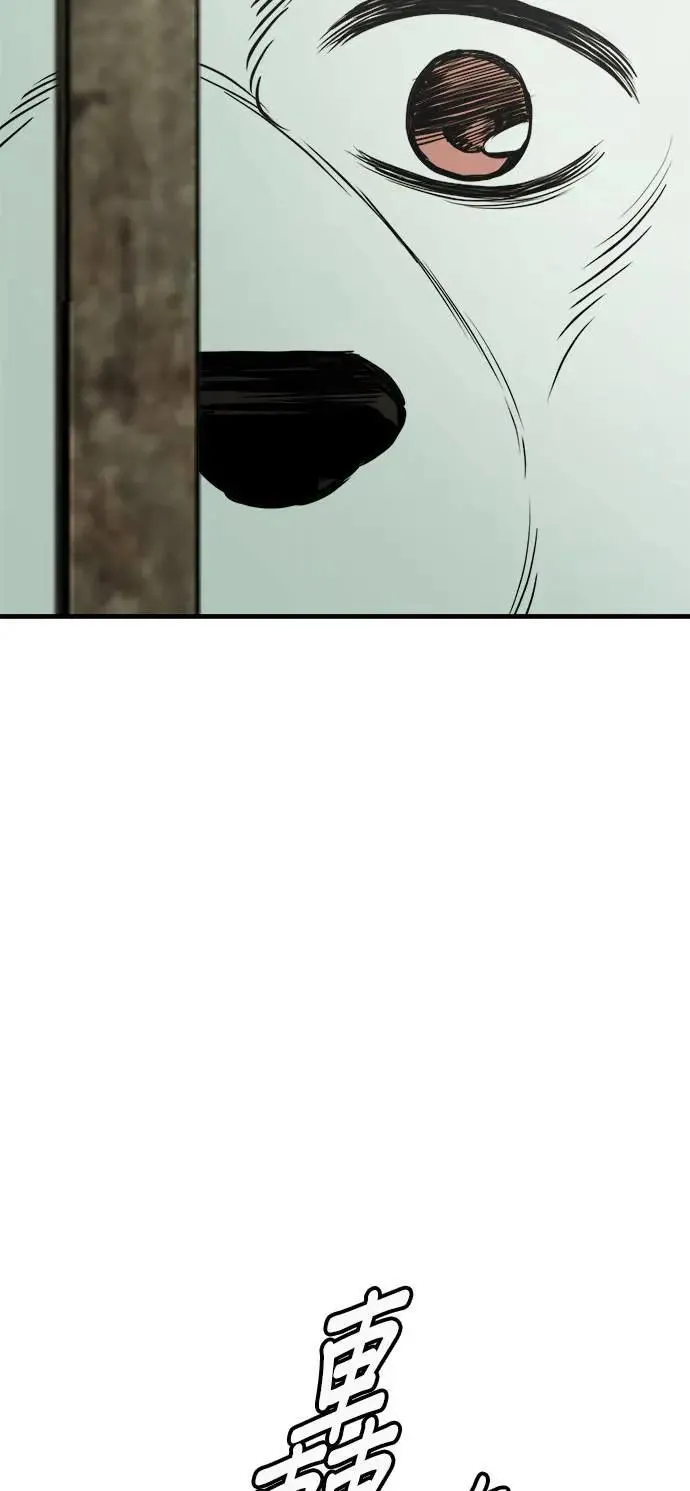 第49话 第67页