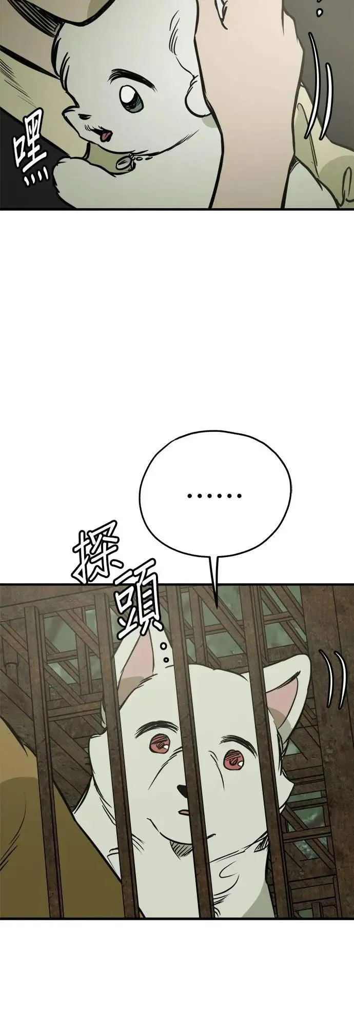 第50话 第20页