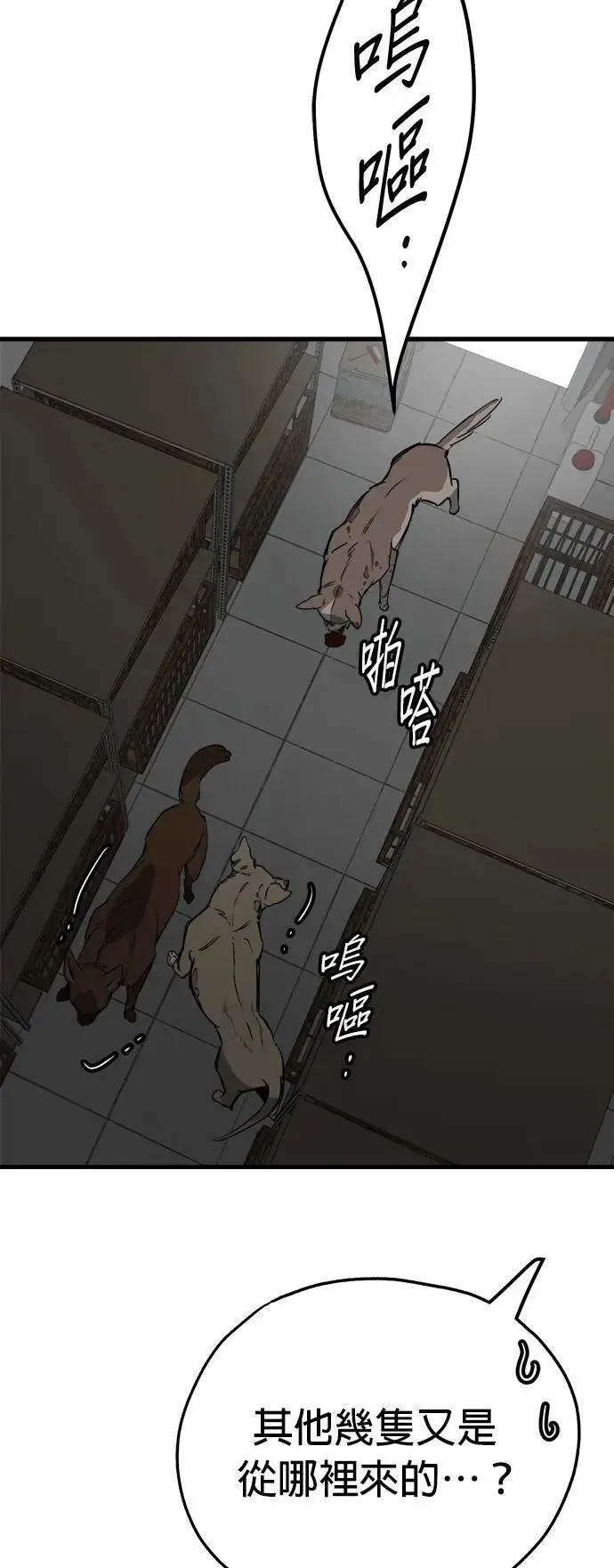 第51话 第14页