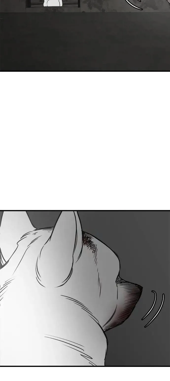 第51话 第60页