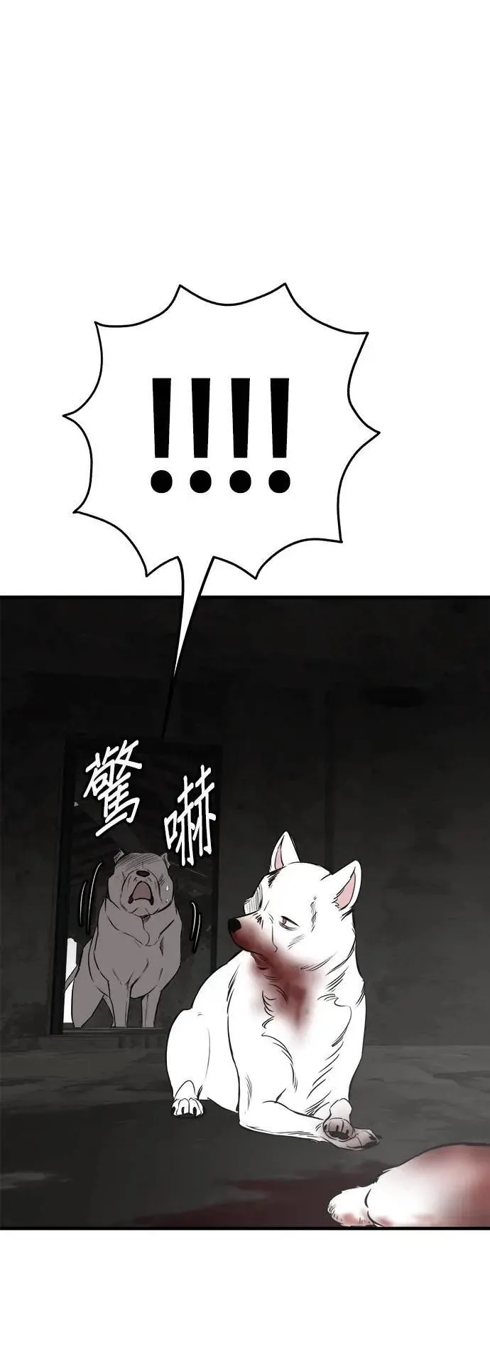 第51话 第61页