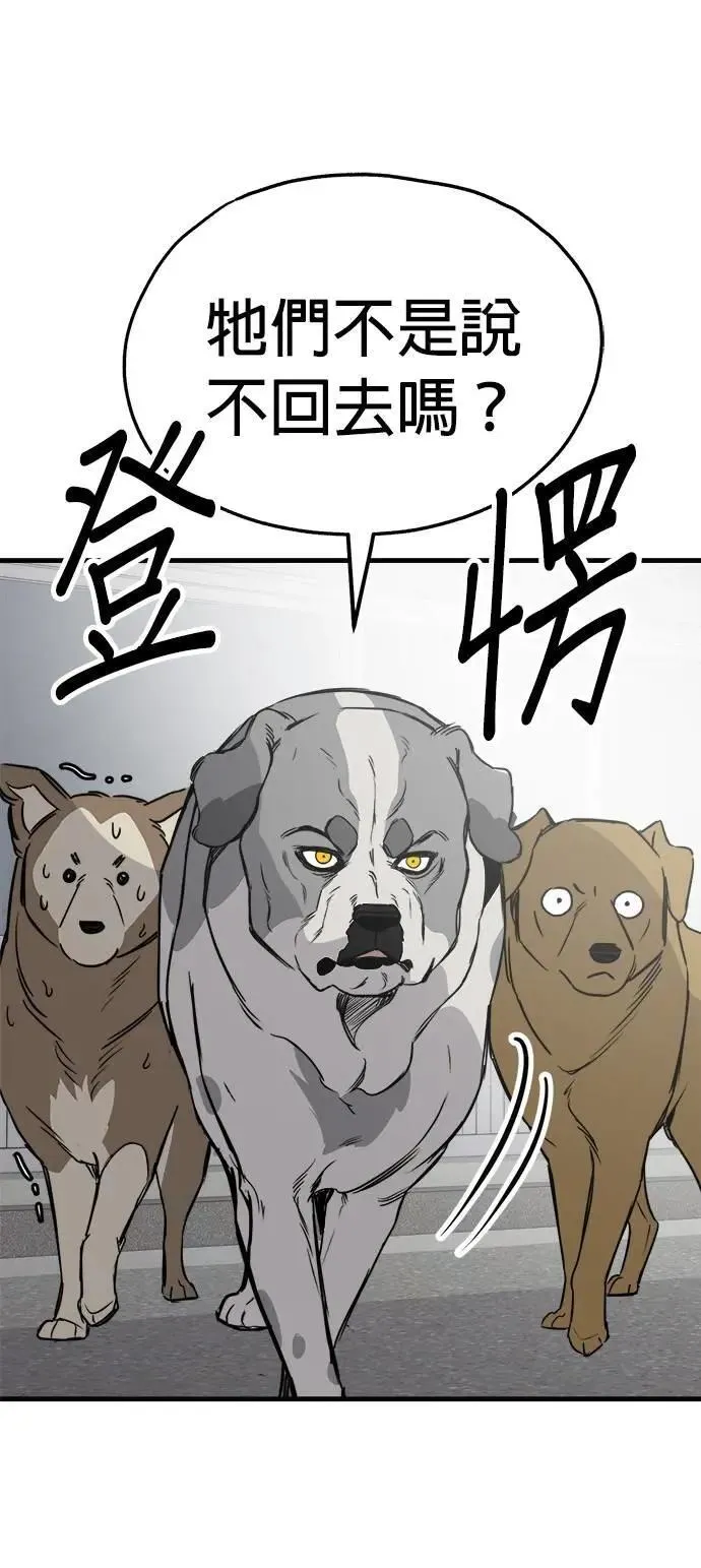 第52话 第13页