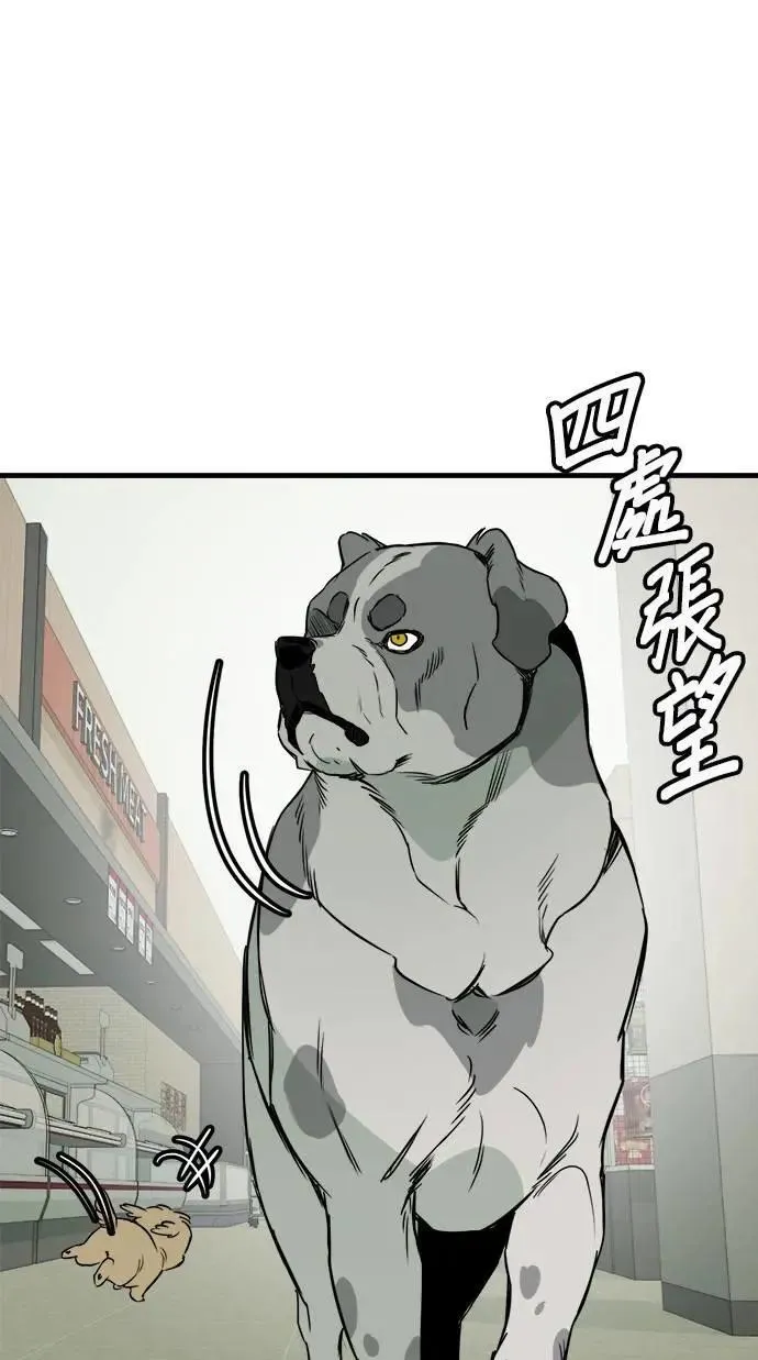 第52话 第33页
