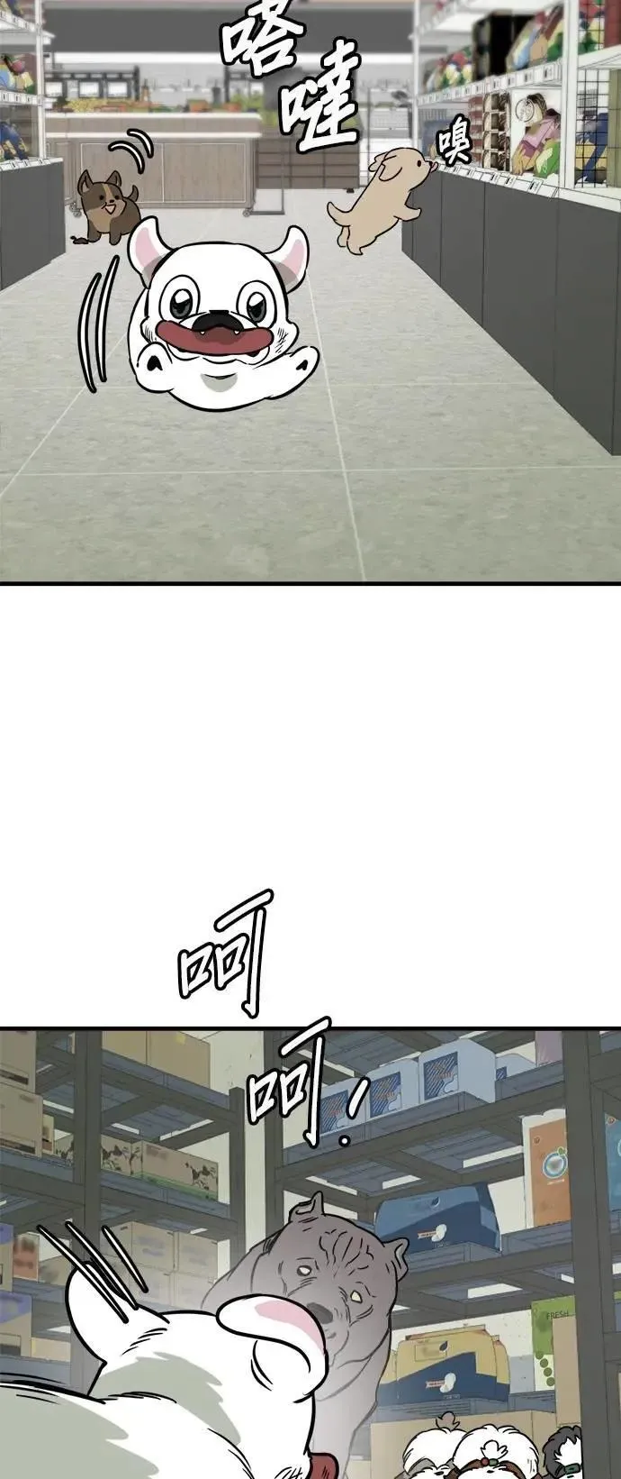 第52话 第42页
