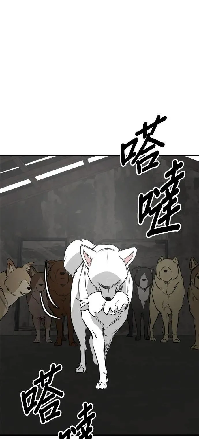 第53话 第67页