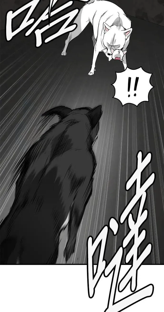 第54话 第66页