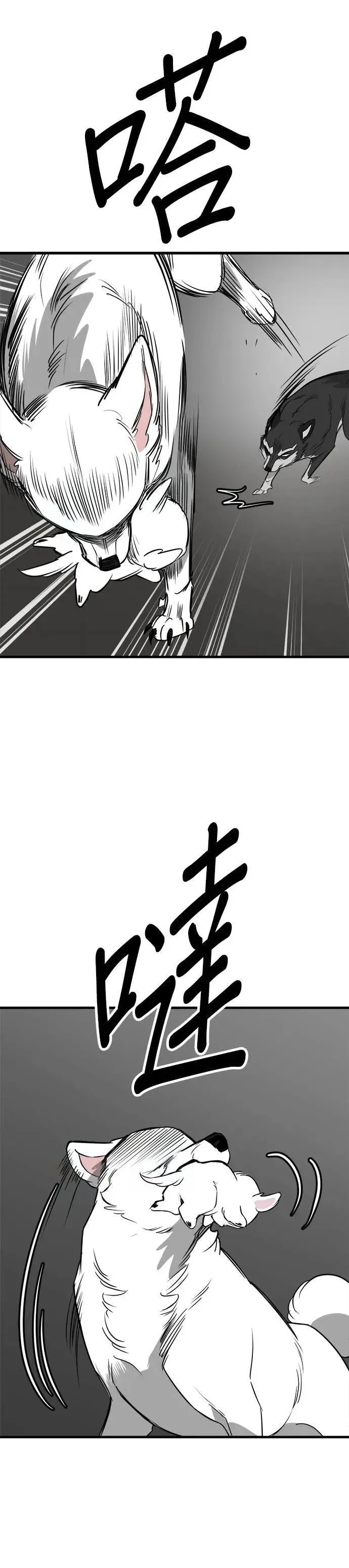 第55话 第17页