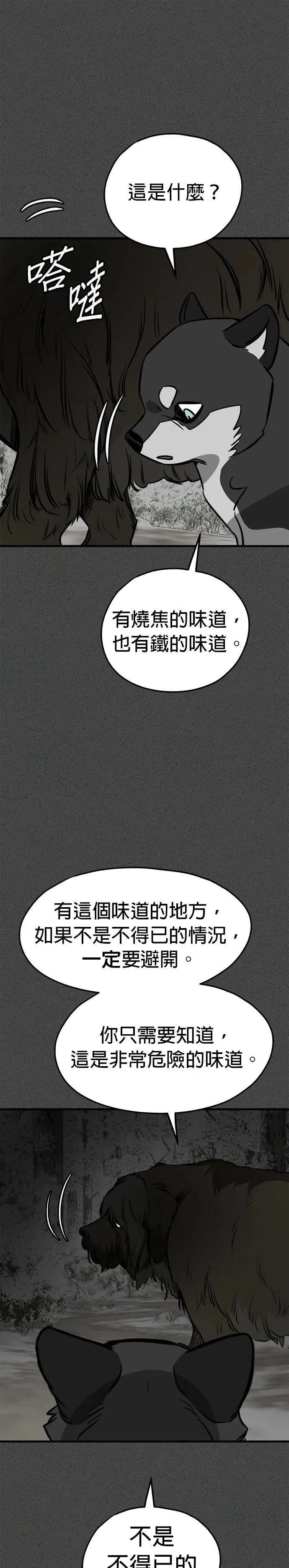 第58话 第19页
