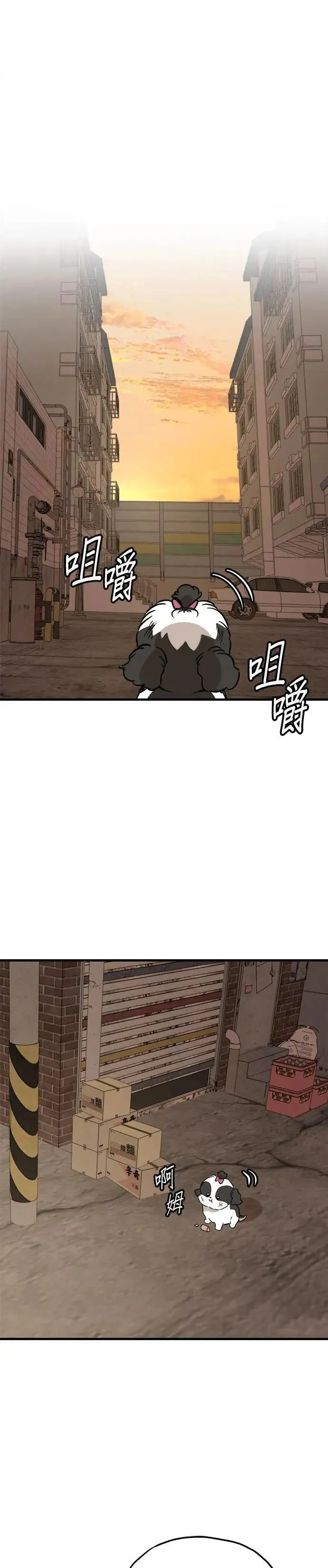 第59话 第41页