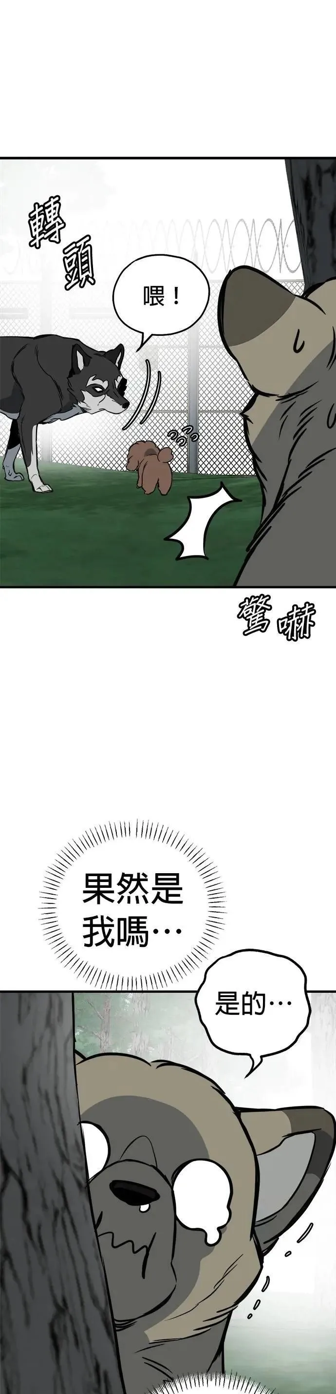 第64话 第21页