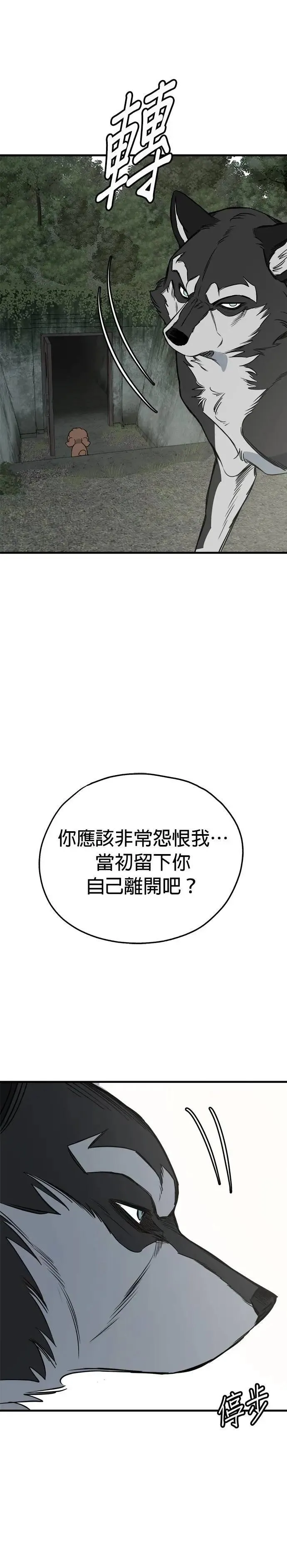 第66话 第7页