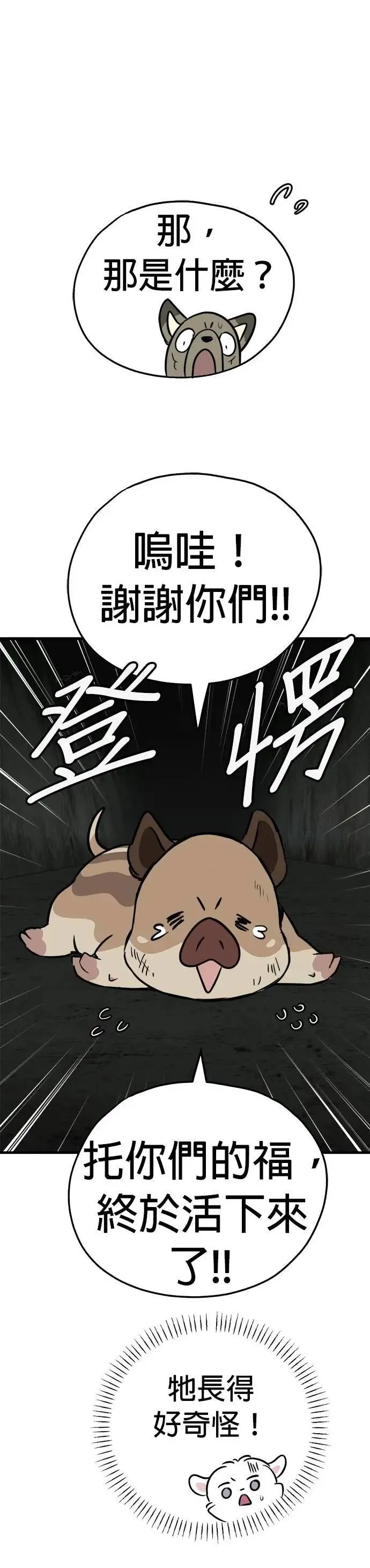 第66话 第20页