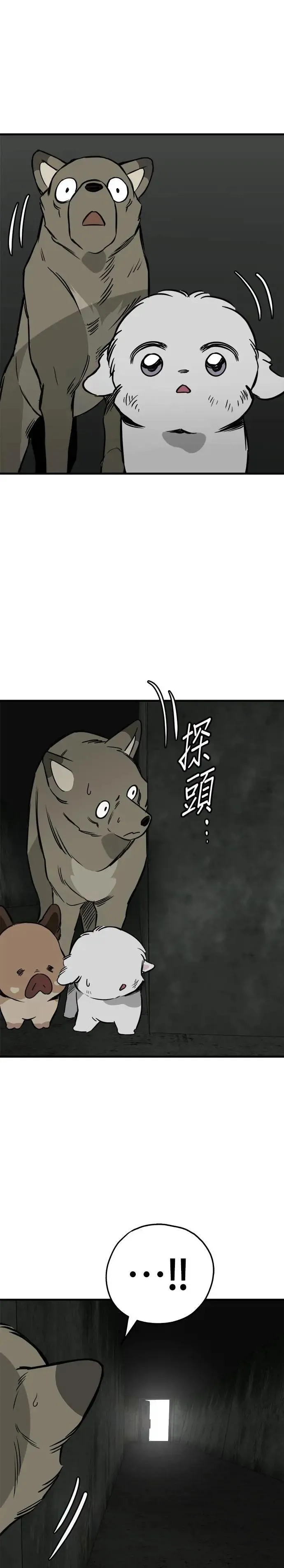 第66话 第37页