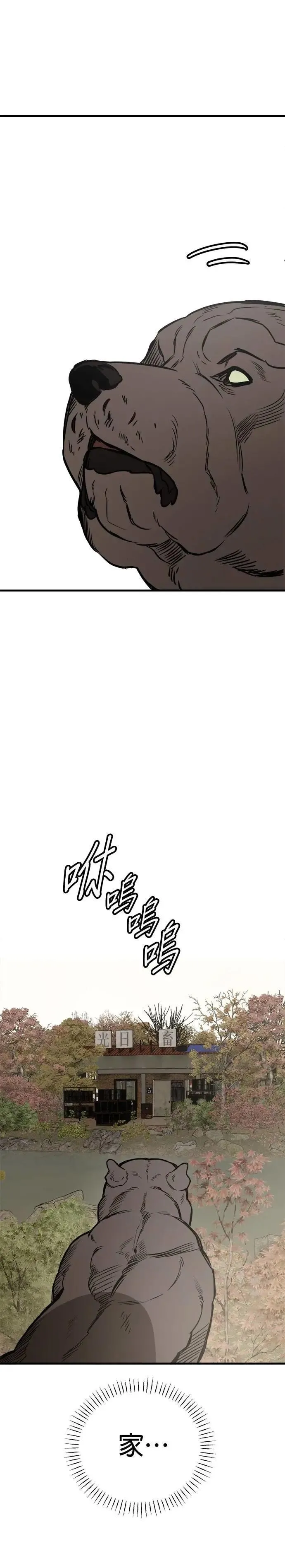 第67话 第19页