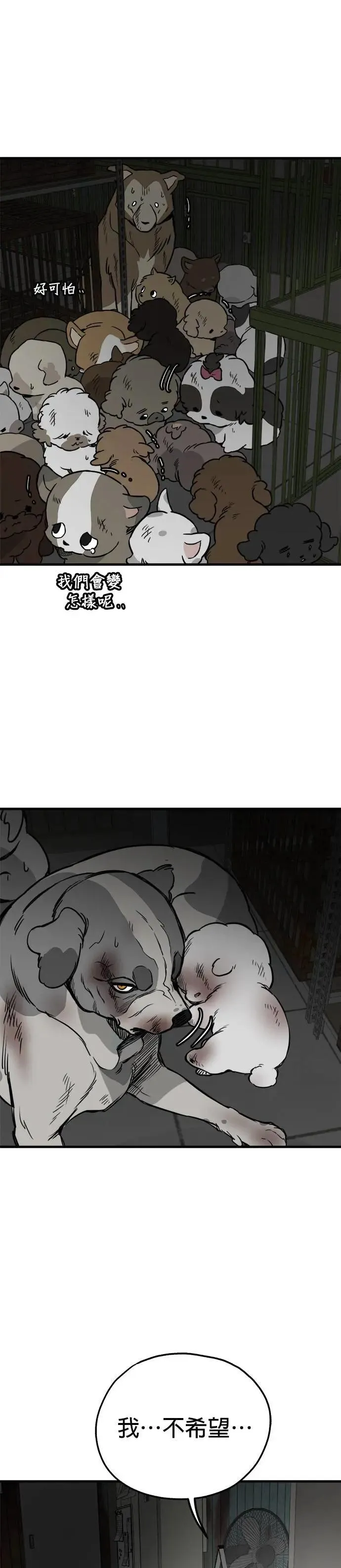 第67话 第26页