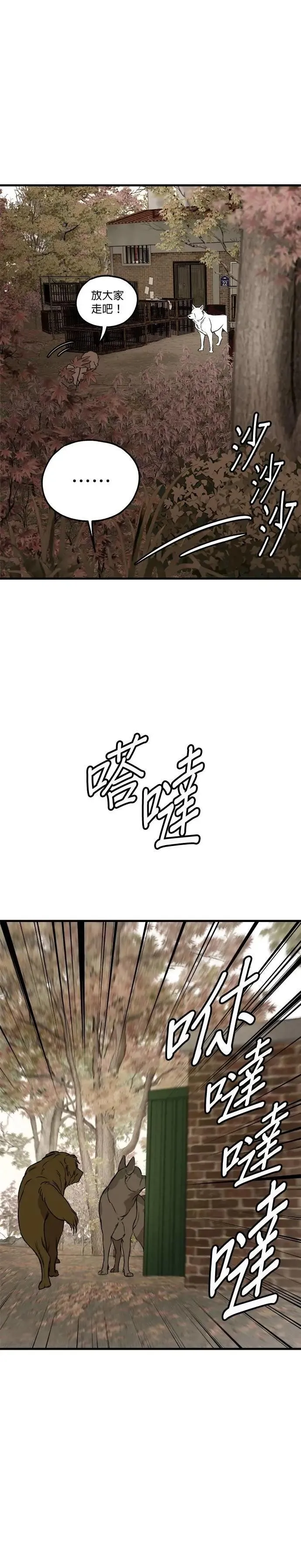 第68话 第19页
