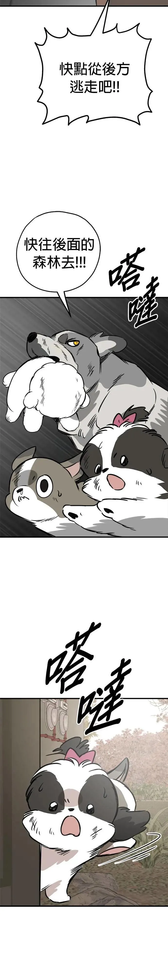 第68话 第36页