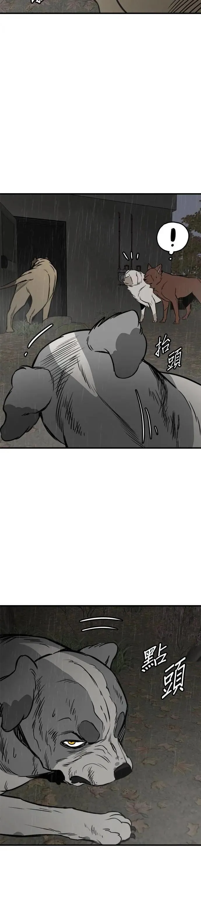 第71话 第11页