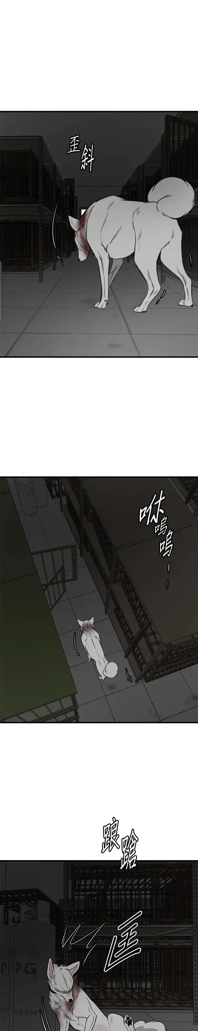 第74话 第7页