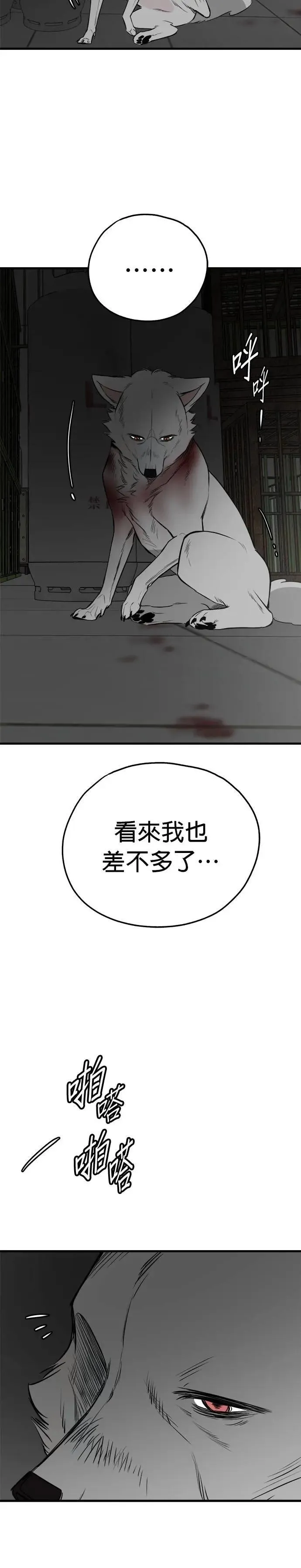 第74话 第8页