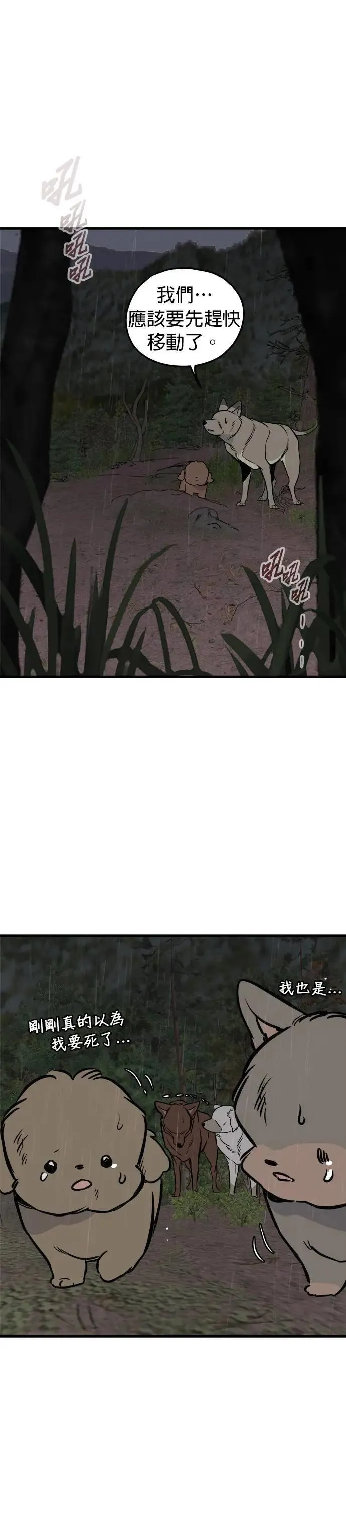 第75话 第22页