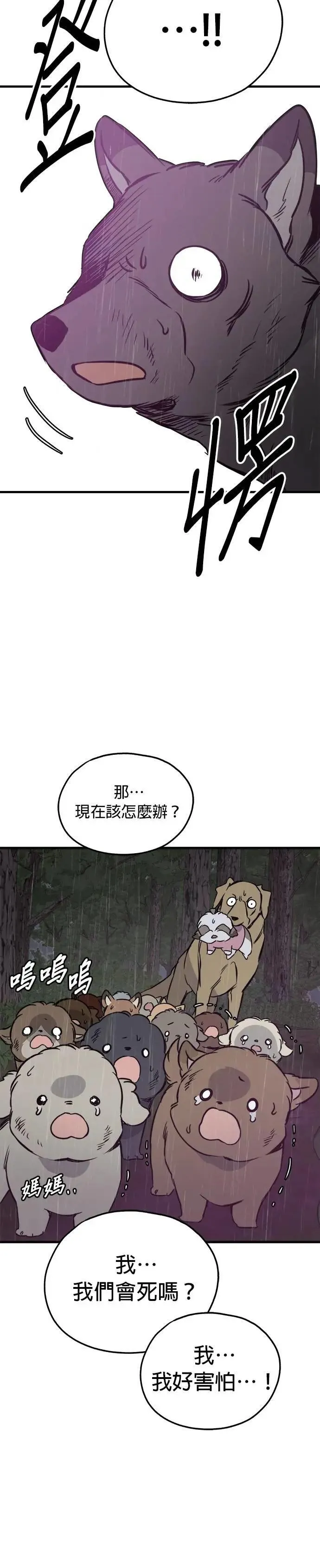 第79话 第20页