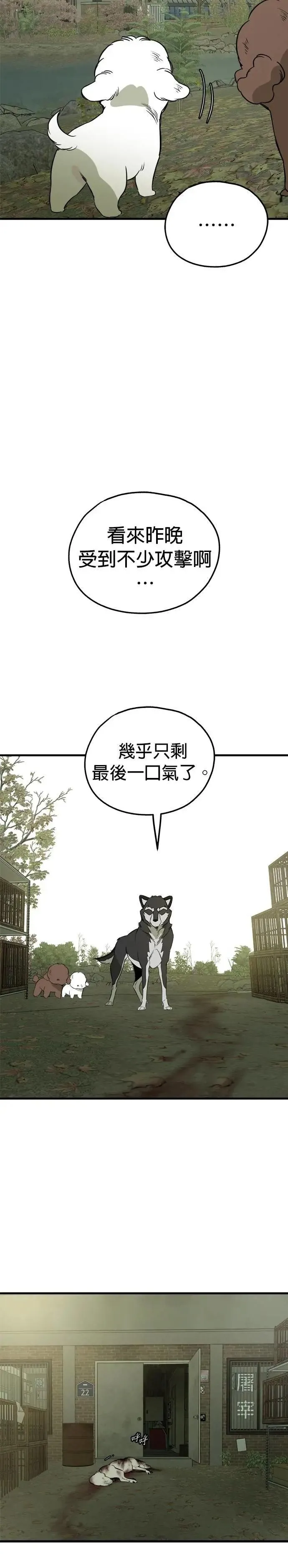 第81话 第31页