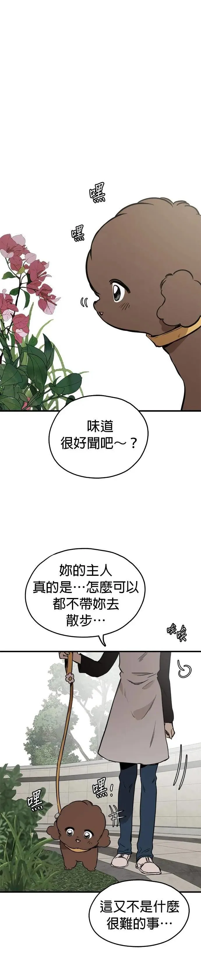 第83话 第19页