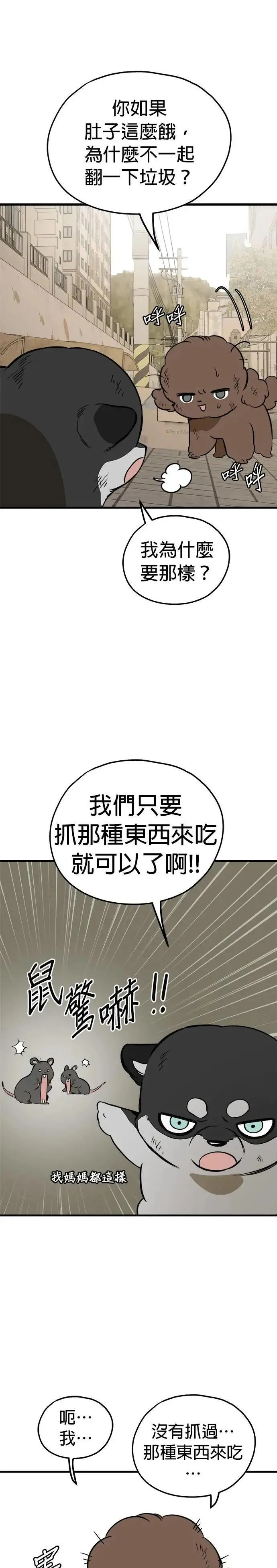 第84话 第19页