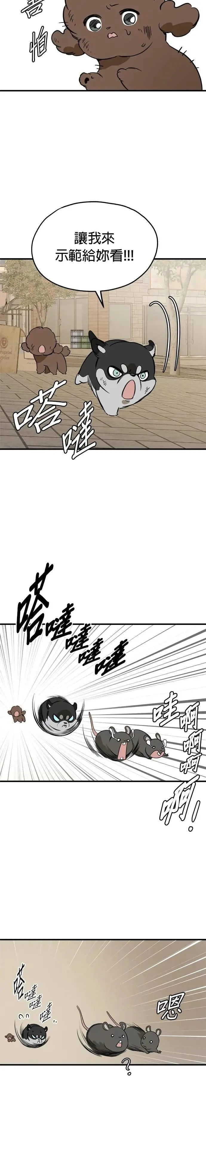 第84话 第20页