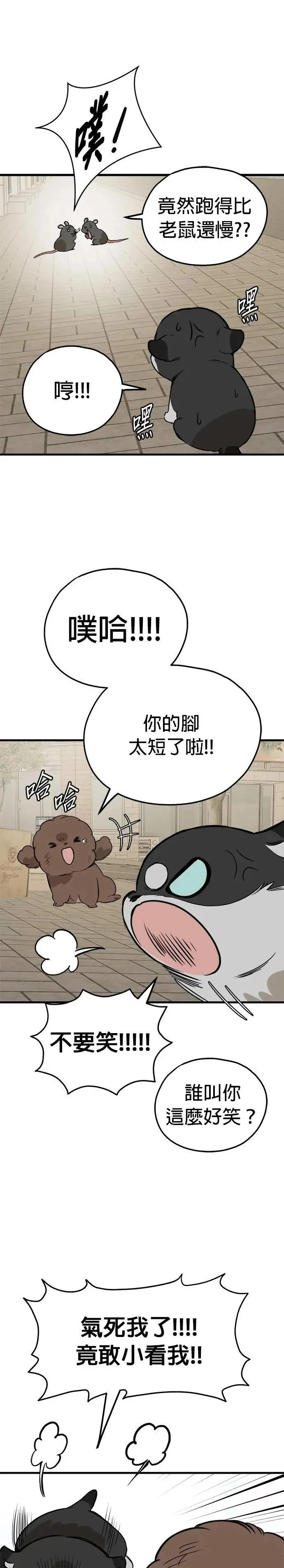 第84话 第21页