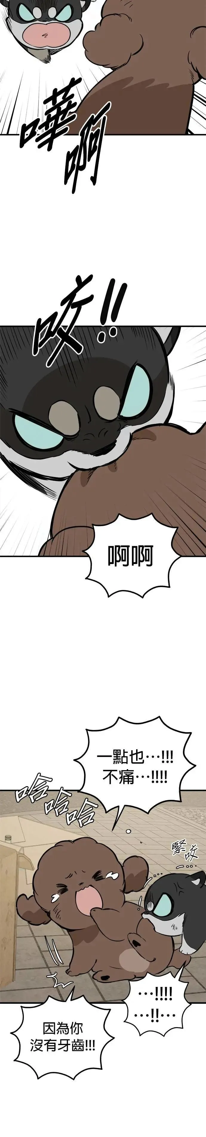 第84话 第22页