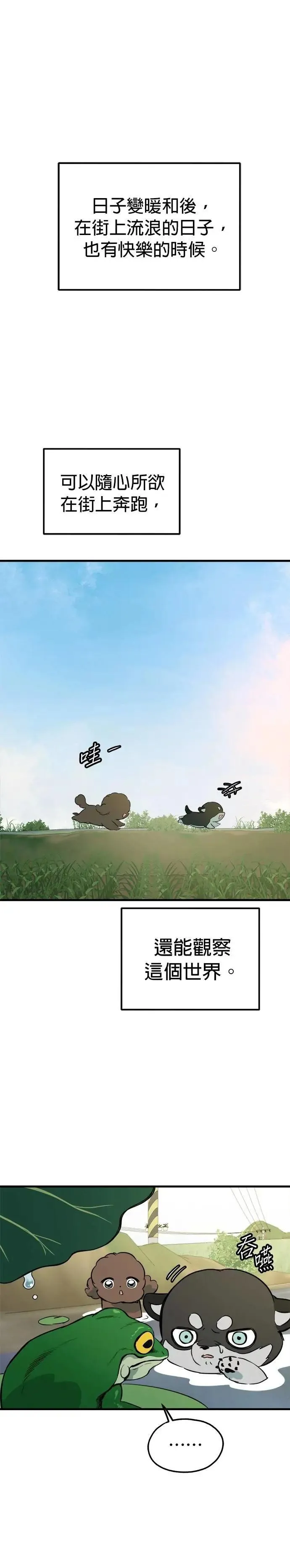 第84话 第32页